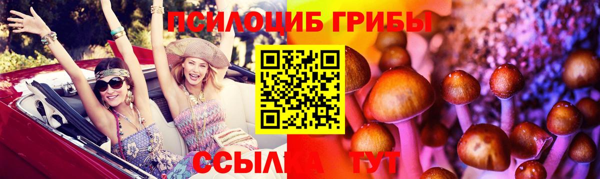 Усть-Лабинск  Галлюциногенные грибы прущие грибы  Галлюциногенные грибы Psilocybe  Вход с VPN 