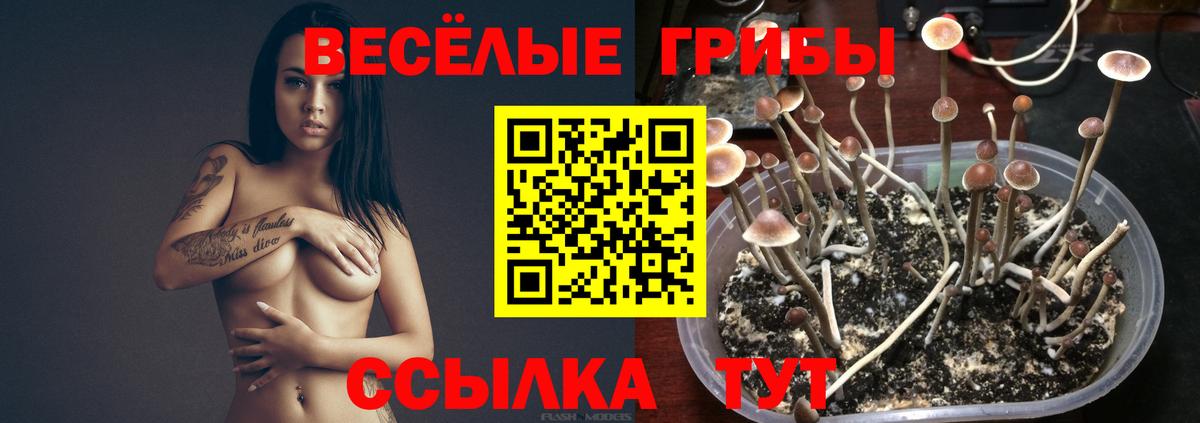 COCAIN  Вход с VPN  A PVP СК кристаллы  Каннабис  Лсд 25  Усть-Лабинск  ГЕРОИН  ГАШ  Меф МЯУ МЯУ   ГАШИШ 